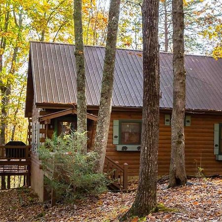 Mountain Time Cabin, Hot Tub, Fire Pit, Fireplace Villa Blue Ridge Exterior foto