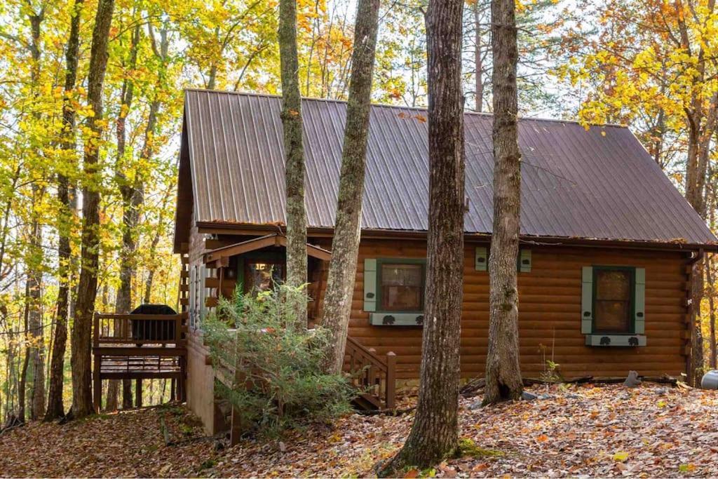 Mountain Time Cabin, Hot Tub, Fire Pit, Fireplace Villa Blue Ridge Exterior foto