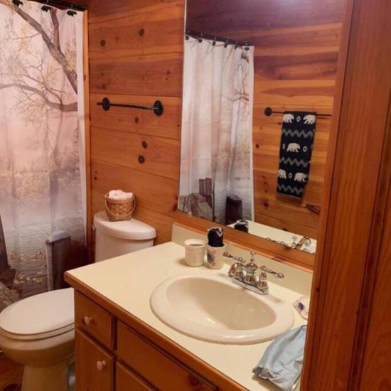 Mountain Time Cabin, Hot Tub, Fire Pit, Fireplace Villa Blue Ridge Exterior foto